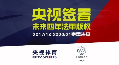 央视体育：从赛事转播到数字生态的转型案例分析